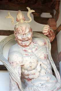 photo,material,free,landscape,picture,stock photo,Creative Commons,Horyu-ji Temple gate built between the main gate and the main house of the palace-styled architecture in the Fujiwara period Deva King (Agata)j, Buddhism, Nio guardian deity image, guardian deity, Muscularity