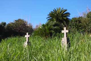 foto,tela,gratis,paisaje,fotografa,idea,Una lpida catlica, Lpida, Cristianismo, Cruz, Cementerio