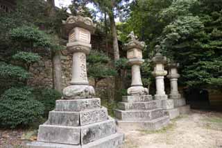 fotografia, materiale, libero il panorama, dipinga, fotografia di scorta,Kompira-san cesto di lanterna di pietra di Sacrario, Sacrario scintoista tempio buddista, lanterna orto, , Scintoismo