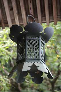 photo,material,free,landscape,picture,stock photo,Creative Commons,Kompira-san Shrine hanging lantern, Shinto shrine Buddhist temple, company, garden lantern, Shinto