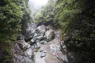 Foto, materiell, befreit, Landschaft, Bild, hat Foto auf Lager,Regnerische Schlucht, riesiger Stein, Fluss, Wald, Schlucht