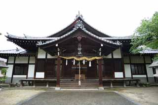 photo,material,free,landscape,picture,stock photo,Creative Commons,Bath Shrine, Shinto shrine Buddhist temple, roof, Shinto straw festoon, Shinto straw festoon