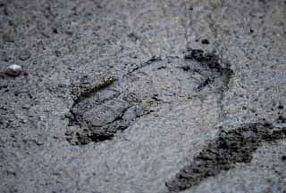 photo,material,free,landscape,picture,stock photo,Creative Commons,Establish it; regrets of the concrete, footprint, The construction spot, I step, plasterer