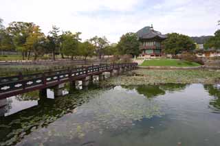 Foto, materiell, befreit, Landschaft, Bild, hat Foto auf Lager,Hyangwonjeong Van Kyng-bokkung, hlzernes Gebude, Welterbe, Eine Welle, Suiko-Brcke