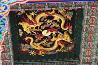 photo,material,free,landscape,picture,stock photo,Creative Commons,A ceiling of Kunjongjon, dragon, dragon, Ryu, dragon