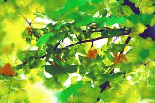 illust, materiell, befreit, Landschaft, Bild, Gemlde, Farbbleistift, Wachsmalstift, Zeichnung,,De ginkgo welk verbouwt, ginkgo, , , 