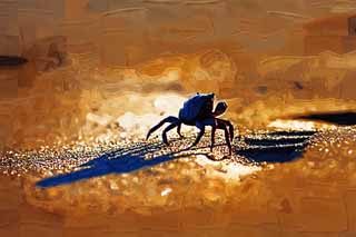 illust,tela,gratis,paisaje,fotografa,idea,pintura,Lpiz de color,dibujo,Sand cangrejos, Cangrejo, , , Sombra