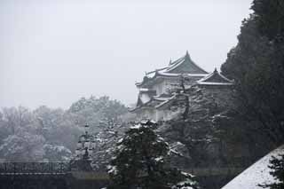 Foto, materiell, befreit, Landschaft, Bild, hat Foto auf Lager,Schnee Fushimi Derrick, Burg, Palast, Mrderwal, Edo-Burg