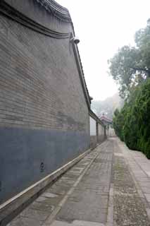 fotografia, materiale, libero il panorama, dipinga, fotografia di scorta,Palazzo estate nel vicolo, Cedro giapponese, Muro esterno, Komichi, Ciottolo