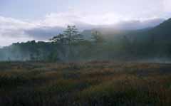 Foto, materiell, befreit, Landschaft, Bild, hat Foto auf Lager,Dunstiges Sumpfland, Himmel, Baum, Berg, Nebel