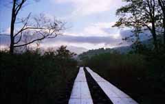 photo,material,free,landscape,picture,stock photo,Creative Commons,Wooden path, sky, tree, mountain, fog