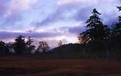 photo,material,free,landscape,picture,stock photo,Creative Commons,Morning color, sky, tree, mountain, cloud