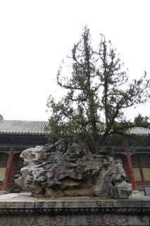 fotografia, materiale, libero il panorama, dipinga, fotografia di scorta,Tai Hu pietra's Summer Palace, Pietra dispari, Pietre, Ornamento, Buco