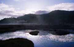 photo,material,free,landscape,picture,stock photo,Creative Commons,Wake-up time indigo, pond, tree, mountain, fog