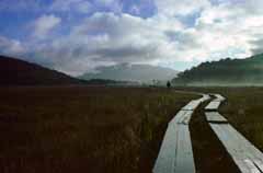 Foto, materiell, befreit, Landschaft, Bild, hat Foto auf Lager,Melancholie im Sumpfland, Wolke, Baum, Berg, Nebel