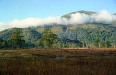 photo,material,free,landscape,picture,stock photo,Creative Commons,Mt. Shibutsu and cloud, cloud, tree, mountain, fog