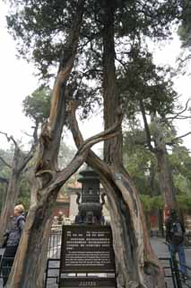 photo,material,free,landscape,picture,stock photo,Creative Commons,Kashiwa Forbidden City yen, Censer, , , World Heritage