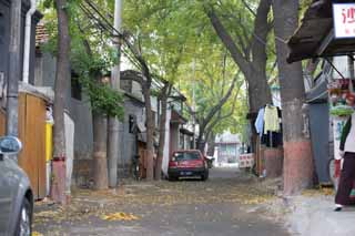 fotografia, materiale, libero il panorama, dipinga, fotografia di scorta,Strade di Pechino, Automobile, Casa privata, Foglie cadute, Lavorando