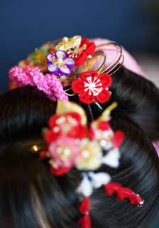 photo,material,free,landscape,picture,stock photo,Creative Commons,Shichi-Go-San hair ornaments, , Hair, Japanese binding, Girl