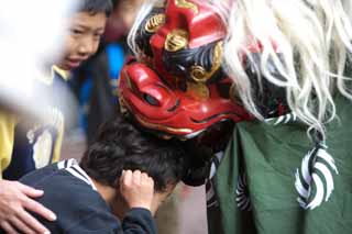 photo, la matire, libre, amnage, dcrivez, photo de la rserve,Lion danse, Nouvelle anne, SHISHIMAI, Culture traditionnelle, Danse