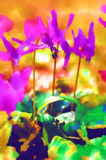 illust, matire, libre, paysage, image, le tableau, crayon de la couleur, colorie, en tirant,Japonais du chien dent fleurs violet, Erythronium, , Ken Kyoko, 