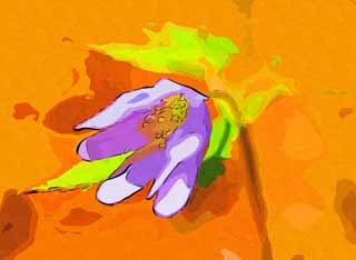illustration,material,free,landscape,picture,painting,color pencil,crayon,drawing,Purple flowers, Spring Flowers, Petal, Take, Stamen