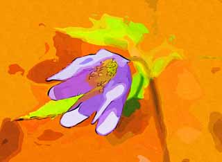 illust, materiale, libero panorama, ritratto dipinto, matita di colore disegna a pastello, disegnando,Fiori viola, Fiori di Primavera, Petalo, Prenda, Stame