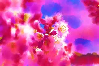 illust,tela,gratis,paisaje,fotografa,idea,pintura,Lpiz de color,dibujo,Cherry Pink, Sakura, , Cereza, 