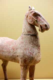 fotografia, materiale, libero il panorama, dipinga, fotografia di scorta,Ceramiche Horse, Vasellame antico, Guerrieri di cotta di terra, Statue equine, Arte ceramica