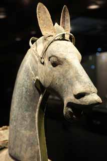 fotografia, materiale, libero il panorama, dipinga, fotografia di scorta,Cavallo di bronzo, Vasellame antico, Bronzi statua, Veicoli, Cavallo