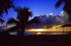 fotografia, materiale, libero il panorama, dipinga, fotografia di scorta,Tramonto in un paradiso, sole che mette, nube, albero, 