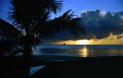 photo,material,free,landscape,picture,stock photo,Creative Commons,Palm tree and a sailboat, setting sun, cloud, tree, 