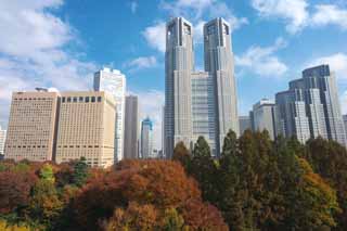 foto,tela,gratis,paisaje,fotografa,idea,Gobierno Metropolitano de Tokio, Torre, Subcenter, Gobierno metropolitano de Tokyo, Edificio