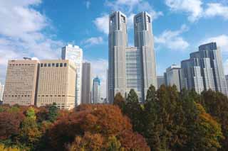 fotografia, materiale, libero il panorama, dipinga, fotografia di scorta,Governo Metropolitano di Tokyo, A molti piani, Subcenter, Tokio governo metropolitano, Costruendo