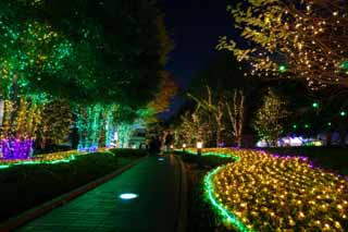 fotografia, materiale, libero il panorama, dipinga, fotografia di scorta,Shinjuku di notte, Passeggiate, Fine dell'anno, RANBURINGUTERASU, Illuminazione