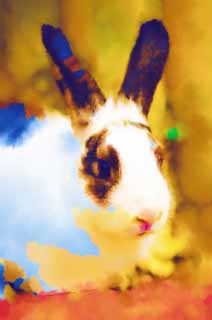 illust, materiell, befreit, Landschaft, Bild, Gemlde, Farbbleistift, Wachsmalstift, Zeichnung,,Rabbit ein, Kaninchen, , Viehbestand, 