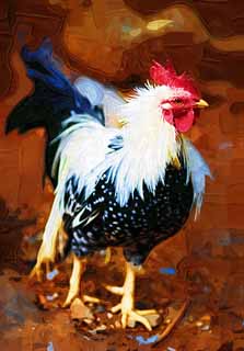illustration,material,free,landscape,picture,painting,color pencil,crayon,drawing,Chicken, NIWATORI, Chicken, , Realgar