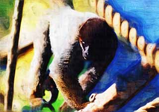 illustration,material,free,landscape,picture,painting,color pencil,crayon,drawing,Common woolly monkey, Curious, Monkeys, Monkey, Cebidae