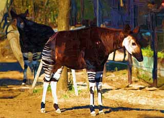 illust, matire, libre, paysage, image, le tableau, crayon de la couleur, colorie, en tirant,Okapi, Okapi, Avec PI?, Sir Harry Johnston, Explorateur britannique