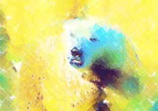 illustration,material,free,landscape,picture,painting,color pencil,crayon,drawing,Polar bear, , Polar bear, SHIROKUMA, Endangered species
