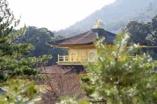 Foto, materiell, befreit, Landschaft, Bild, hat Foto auf Lager,Goldener Pavillon-Tempel Reliquiar Hall, Welterbe, Goldener Pavillon, Ashikaga Yoshimitsu, Kyoto