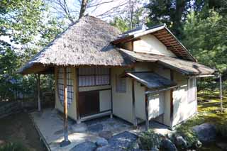 photo,material,free,landscape,picture,stock photo,Creative Commons,Fang Kodaiji Temple retained Hermitage, , Yoshino Tayuu, Tea ceremony, Tea ceremony
