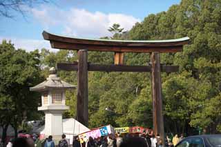 photo,material,free,landscape,picture,stock photo,Creative Commons,Approach torii in Kashihara Shrine, Shinto, , Chronicles of Japan, Kojiki