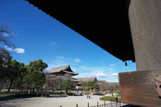 photo,material,free,landscape,picture,stock photo,Creative Commons,To-ji Temple, Buddhism, Cathedral, World Heritage, Geumdang