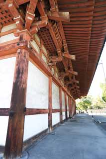 photo,material,free,landscape,picture,stock photo,Creative Commons,To-ji Temple Auditorium, Buddhism, Cathedral, World Heritage, Esoteric Buddhism