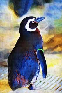 illust, materiell, befreit, Landschaft, Bild, Gemlde, Farbbleistift, Wachsmalstift, Zeichnung,,Magellan-Pinguine, Schreiben Sie Ginga nieder, Pinguin, Bill, Flgel