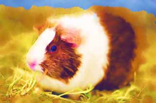 illust, materiell, befreit, Landschaft, Bild, Gemlde, Farbbleistift, Wachsmalstift, Zeichnung,,Cavia, Maus, Ratte, Es TENJI-Ratte, Das Liebkosen