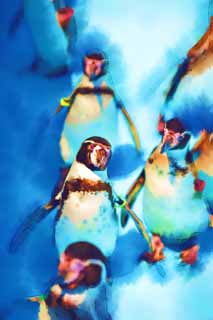 illust, matire, libre, paysage, image, le tableau, crayon de la couleur, colorie, en tirant,Humboldt Penguin, CRIVEZ Ginga, Pingouin, YOCHIYOCHI marchent, Bill