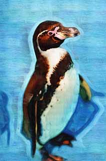 Illust, materieel, vrij, landschap, schilderstuk, schilderstuk, kleuren potlood, crayon, werkje,Humboldt-pingun, PEN Ginga, Pinguin, YOCHIYOCHI lopen, Bill