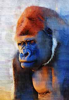 illustration,material,free,landscape,picture,painting,color pencil,crayon,drawing,Gorilla, They GORI, Gorilla, Hominid, Silverback